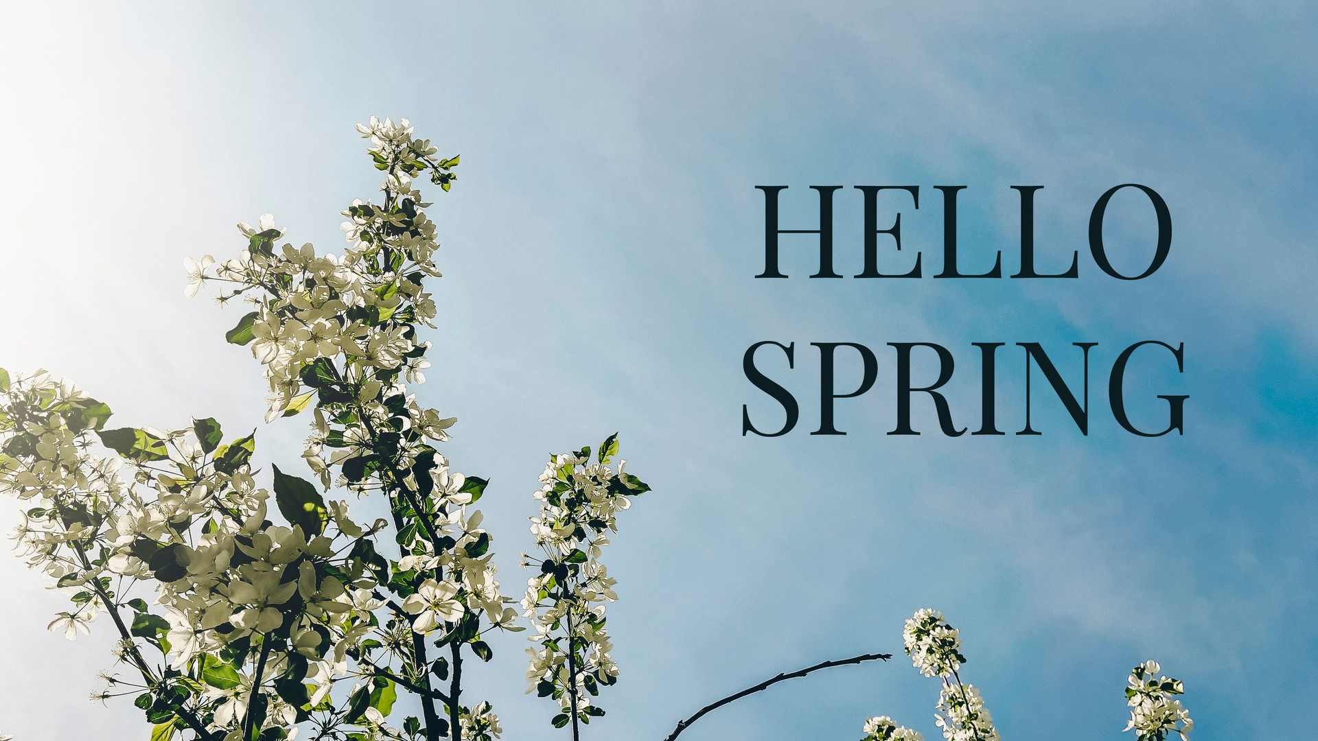 The inscription HELLO SPRING